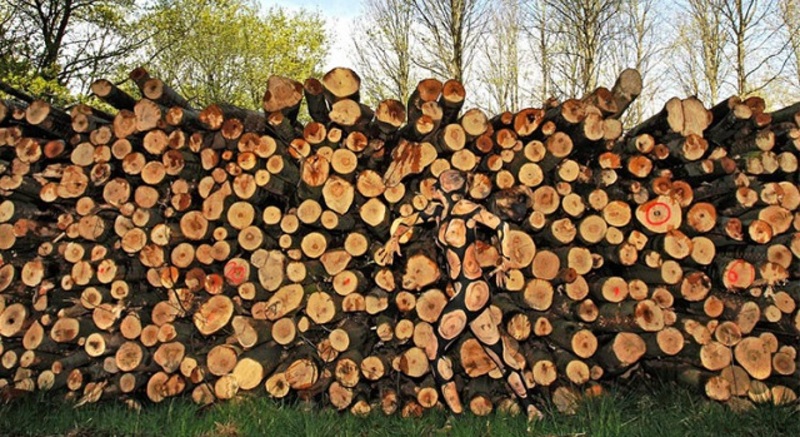 هل لديك قوة ملاحظة.. تُرى أين توجد المرأة في هذه الصور؟!